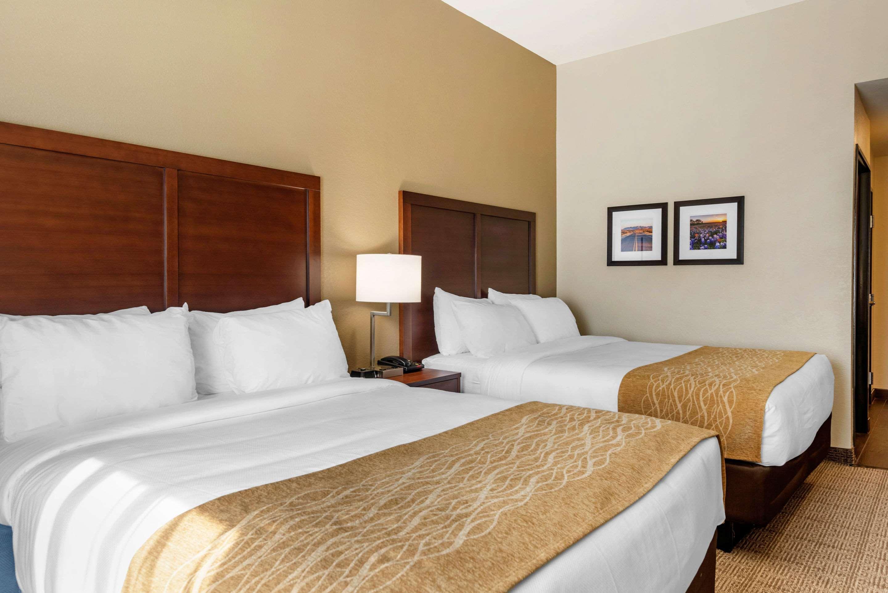 Hotel Comfort Inn&suites